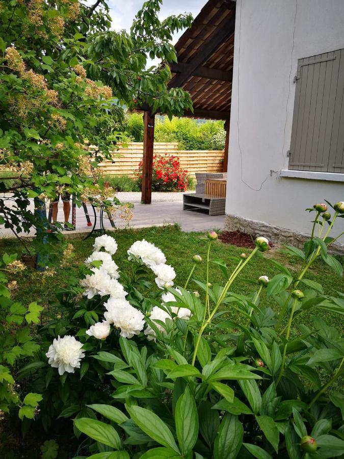 Maison 3 Etoiles Avec Jardin Pour Familles, Sportifs, Curistes... Digne-les-Bains Luaran gambar